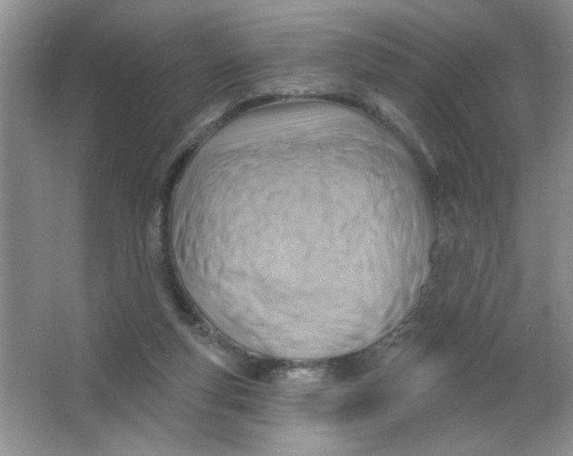 X0000063530163200602102027