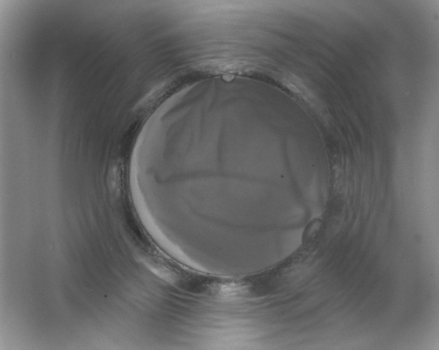 X0000063530165200602102027