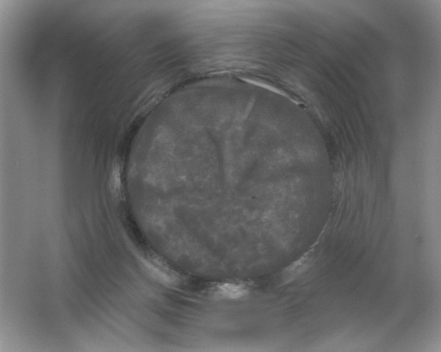 X0000063530166200602102027