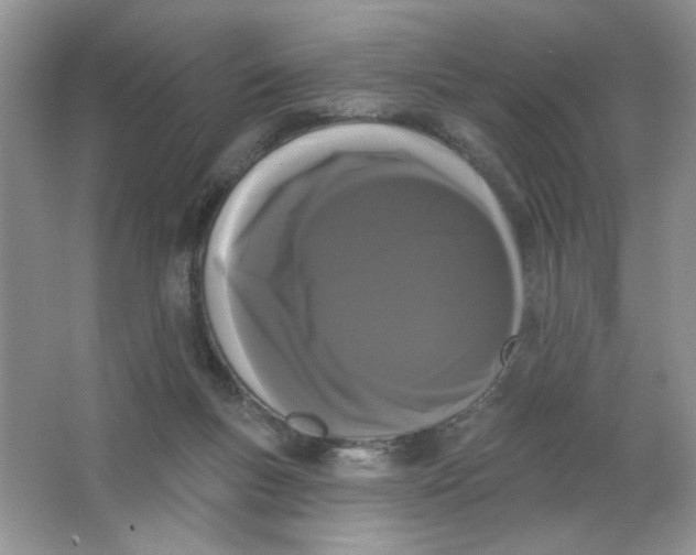 X0000063530167200602102027