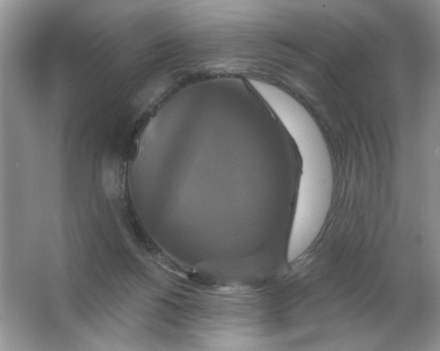 X0000063530168200602102027