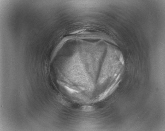 X0000063530169200602102027