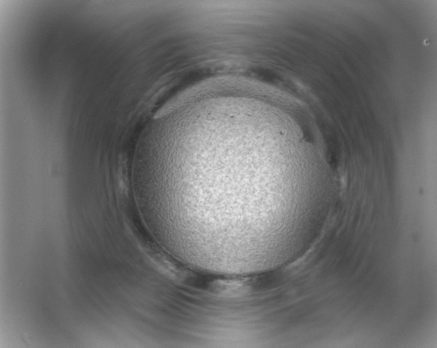 X0000063530170200602102027