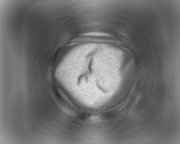 X0000063530171200602102027