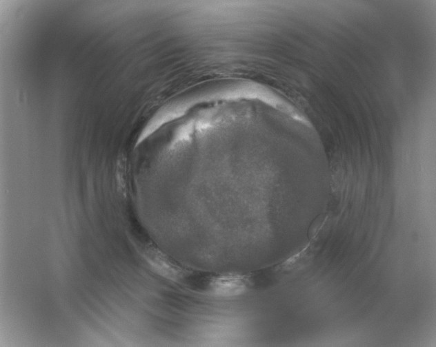 X0000063530175200602102027