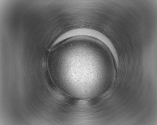 X0000063530176200602102027