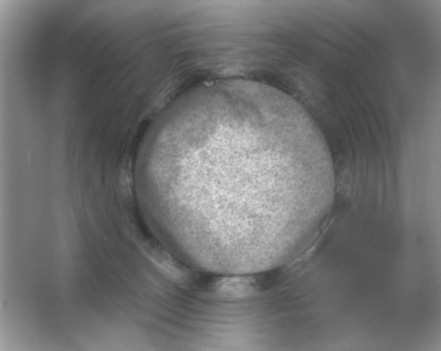 X0000063530179200602102027