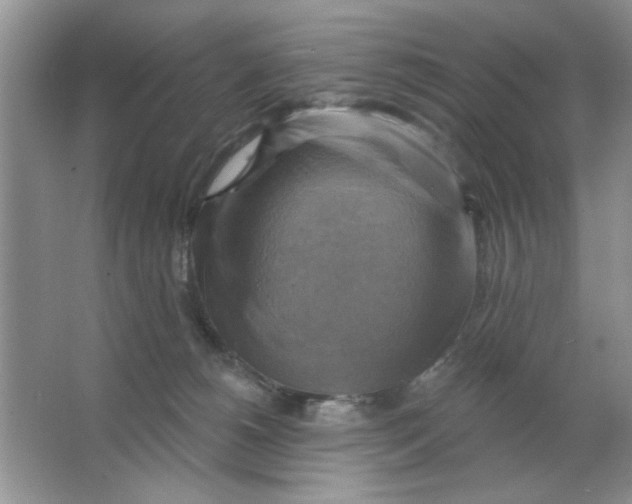 X0000063530180200602102027