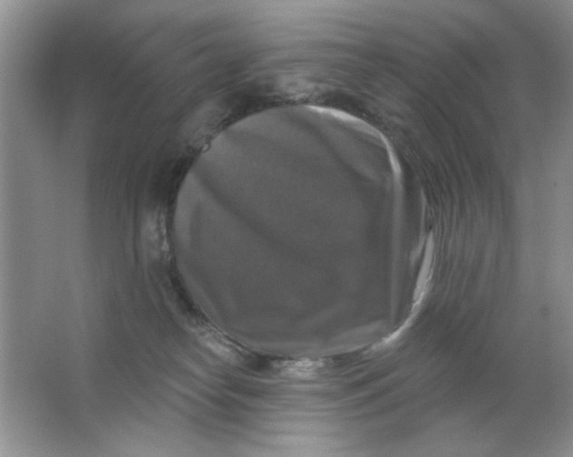 X0000063530182200602102027