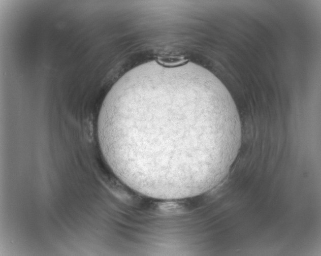 X0000063530183200602102027