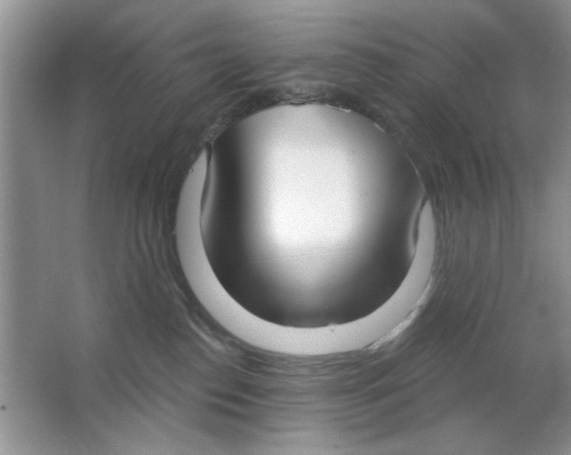 X0000063530186200602102027