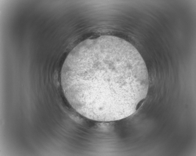 X0000063530187200602102027