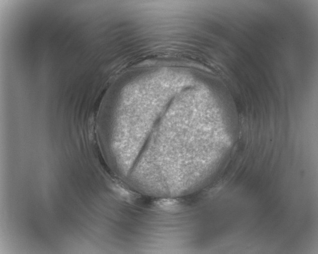 X0000063530189200602102027