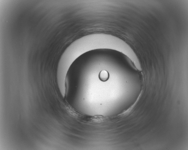 X0000063530190200602102027