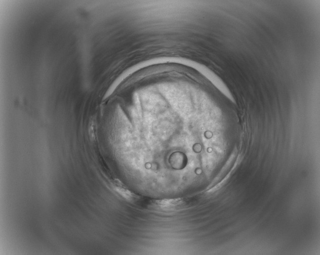 X0000063530191200602102027