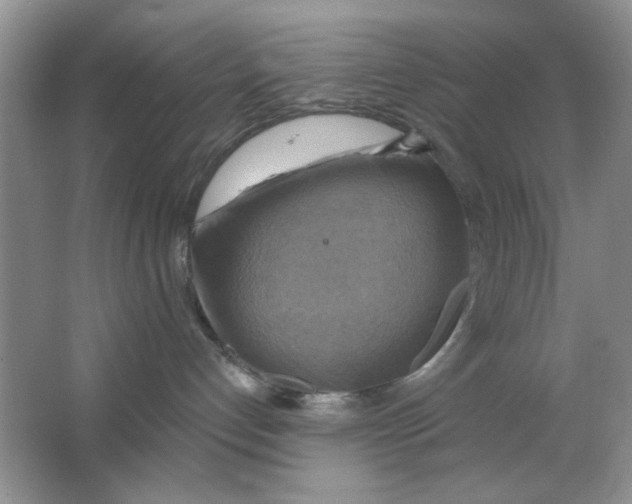 X0000063530192200602102027