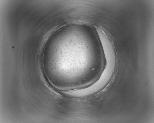 X0000063530193200602102026