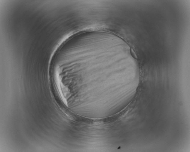 X0000063530196200602102026