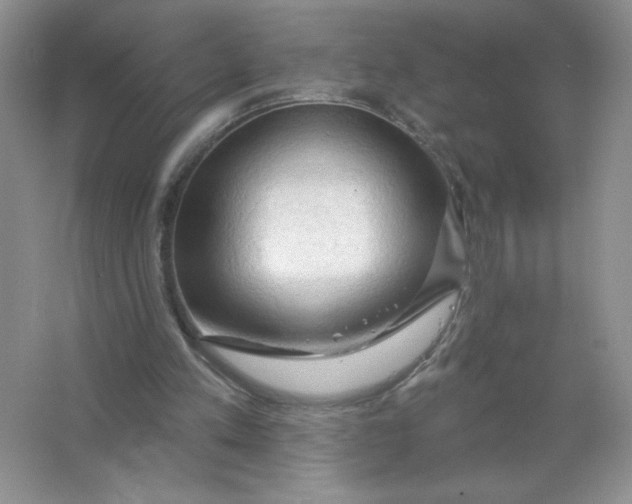 X0000063530197200602102026