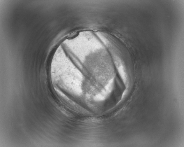 X0000063530198200602102026