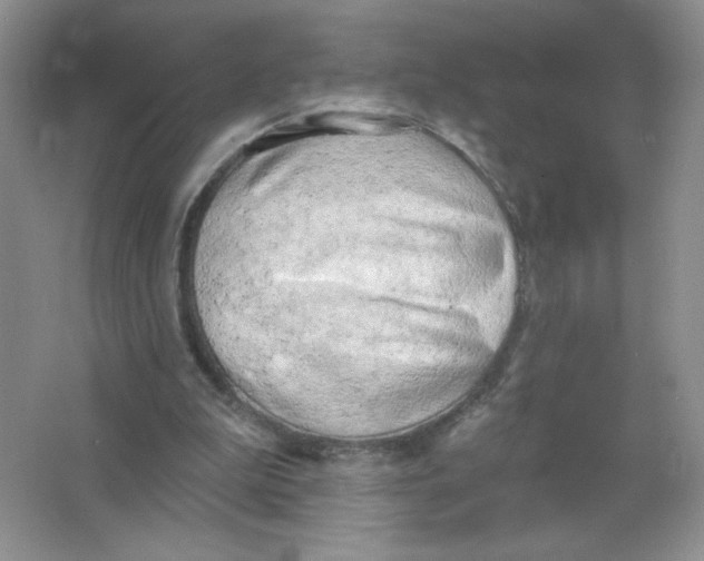 X0000063530199200602102026