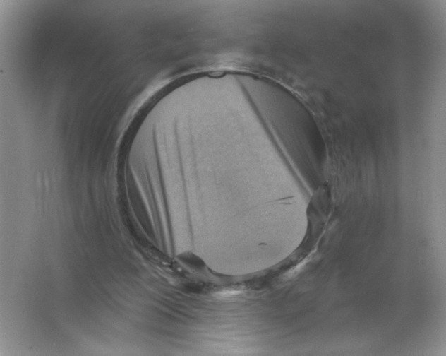 X0000063530200200602102026