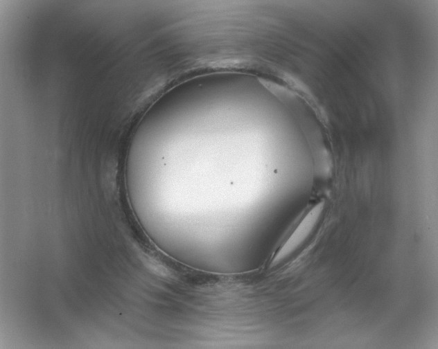 X0000063530201200602102026