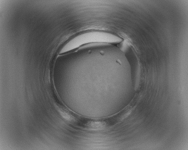 X0000063530205200602102026