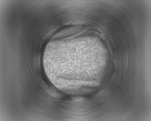 X0000063530206200602102026