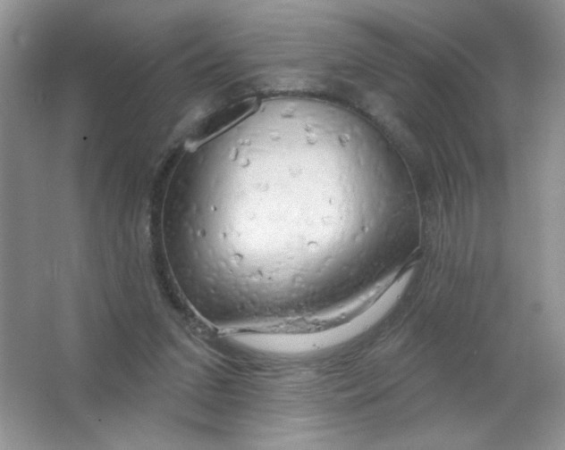 X0000063530207200602102026