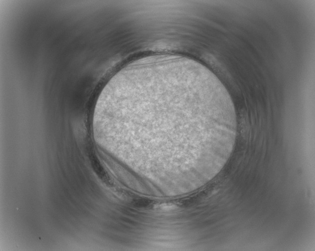 X0000063530208200602102026