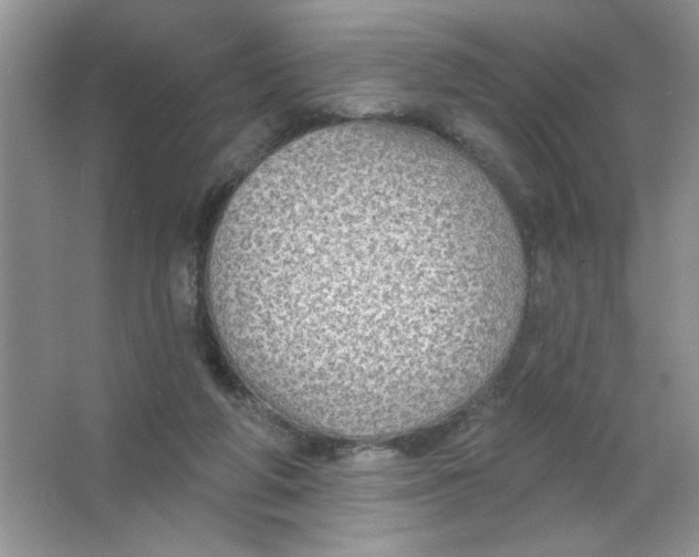 X0000063530210200602102026