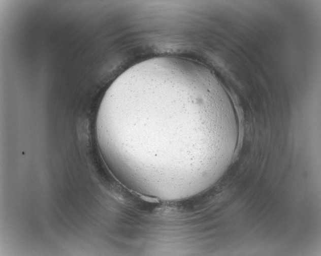 X0000063530211200602102026