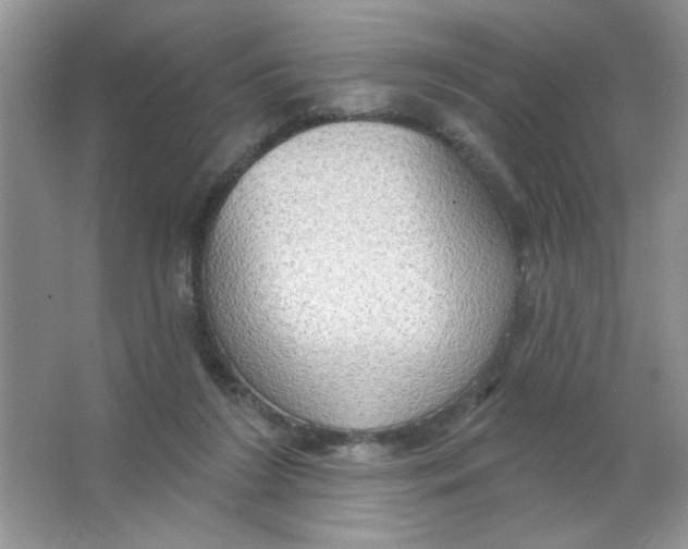 X0000063530212200602102026