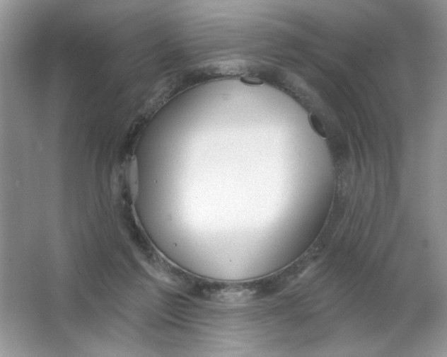 X0000063530213200602102026