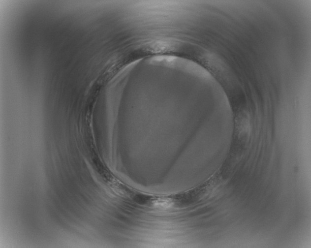 X0000063530214200602102026