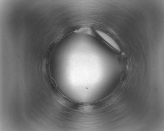 X0000063530217200602102026