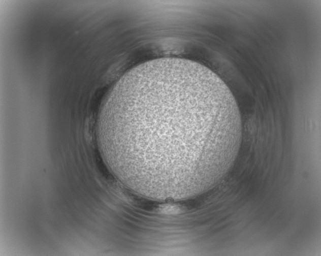 X0000063530218200602102026