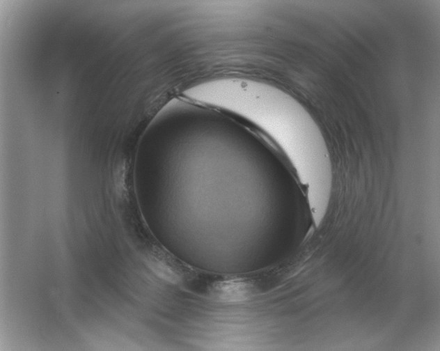 X0000063530219200602102026