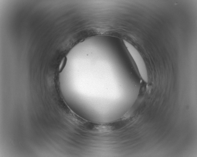 X0000063530221200602102026