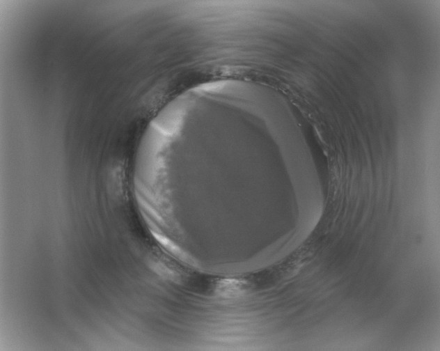 X0000063530222200602102026