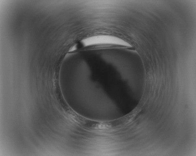 X0000063530223200602102026