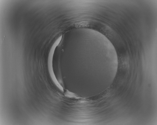 X0000063530224200602102026