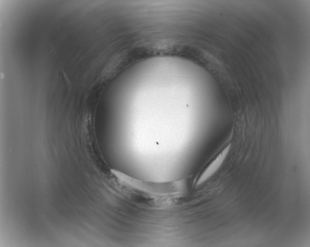 X0000063530225200602102026