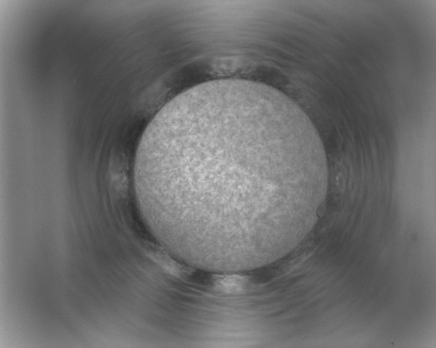 X0000063530226200602102026