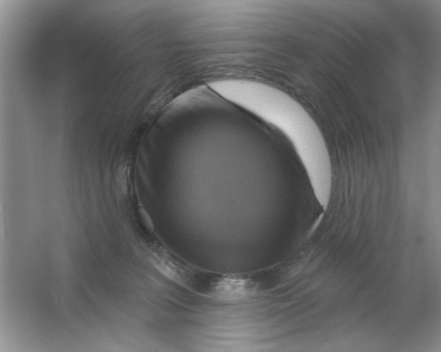 X0000063530227200602102026