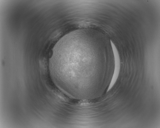 X0000063530228200602102026