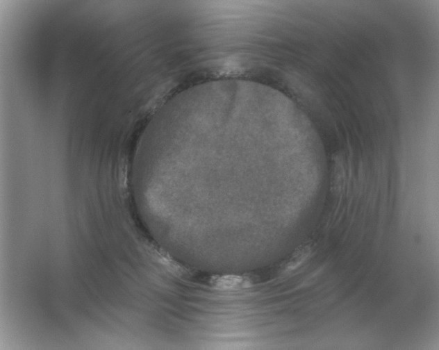 X0000063530230200602102026