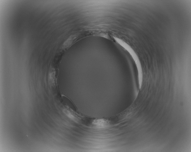 X0000063530231200602102026