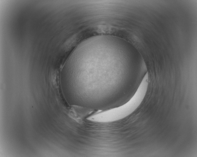 X0000063530233200602102026